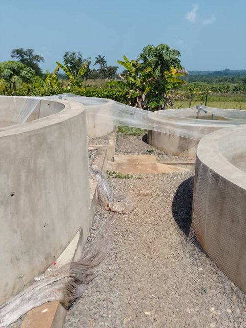 Fishery — Catfish Farming — gallery image